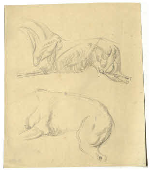 Visualizza l'immagine "FD D 155"